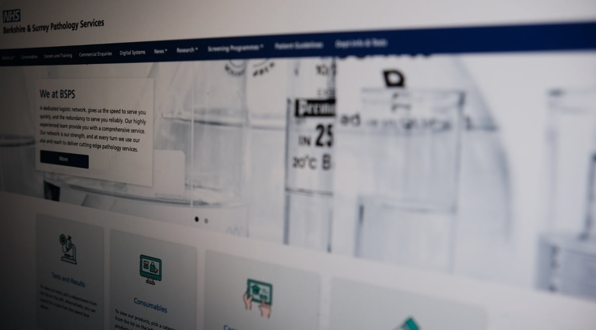 BSBPS Website Image
